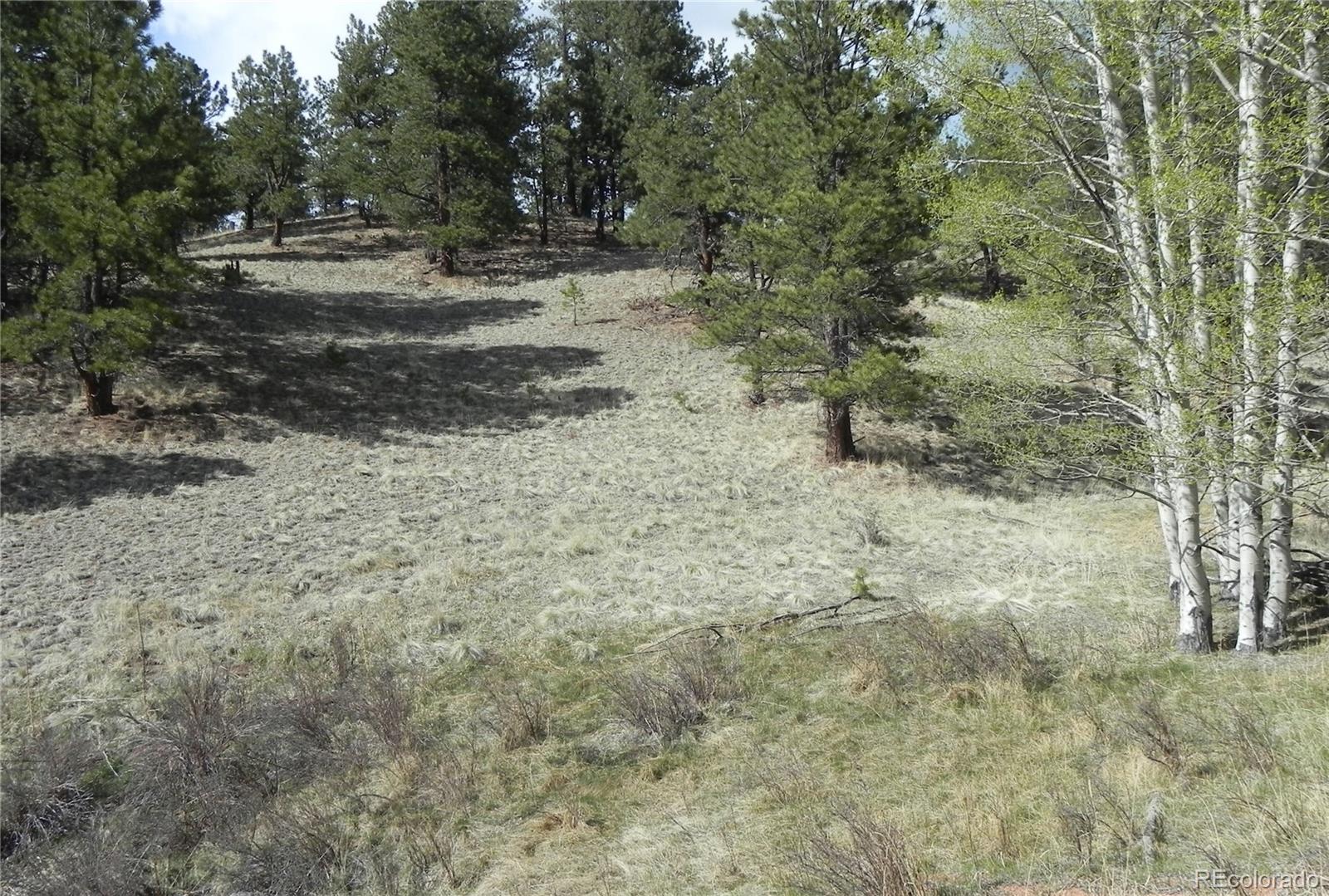 1699 Monarch Drive Cripple Creek CO 80813