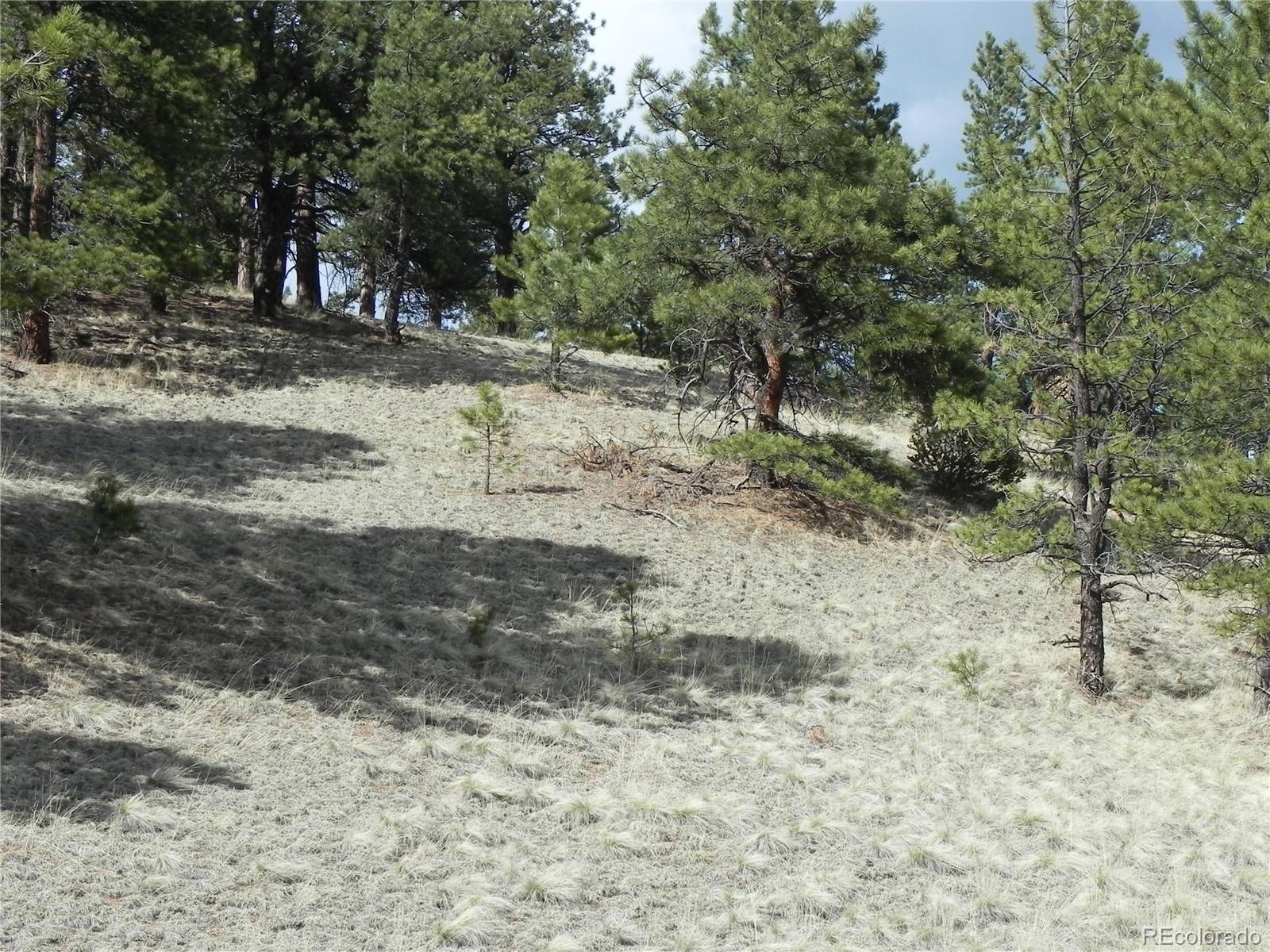 1699 Monarch Drive Cripple Creek CO 80813