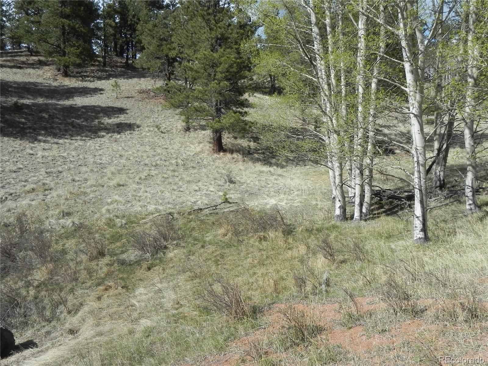 1699 Monarch Drive Cripple Creek CO 80813