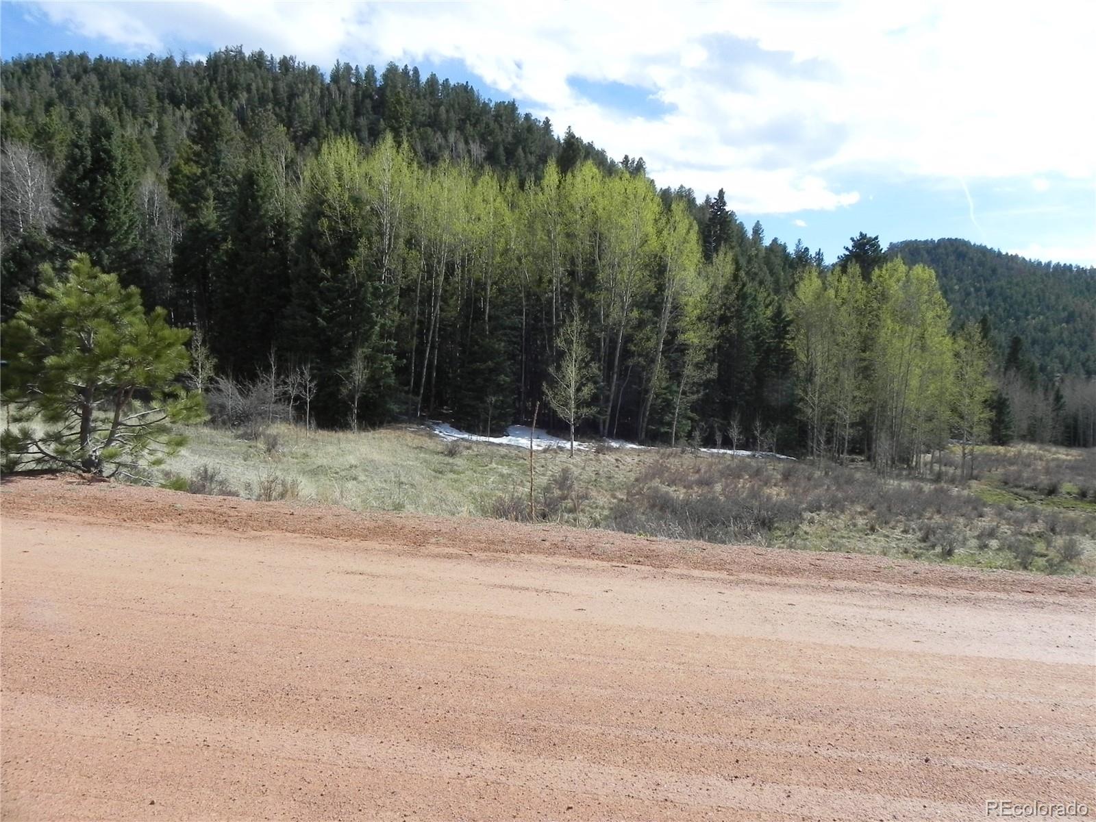 1699 Monarch Drive Cripple Creek CO 80813
