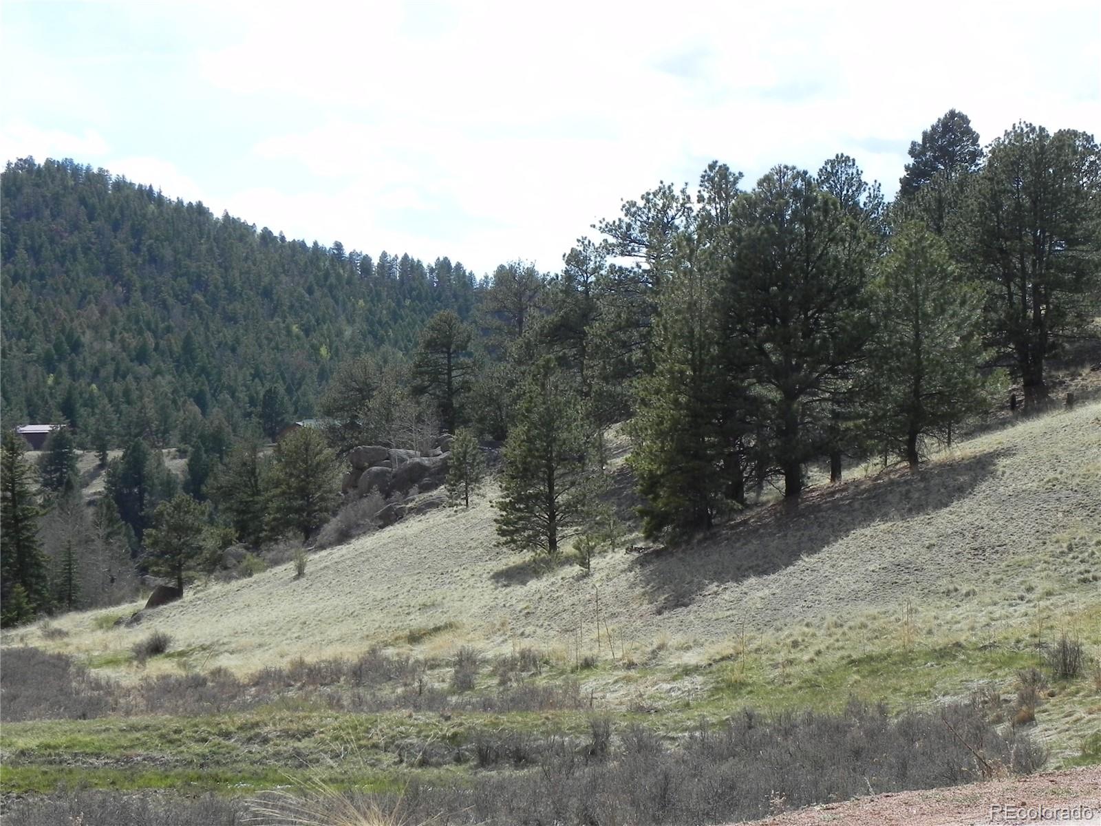 1699 Monarch Drive Cripple Creek CO 80813