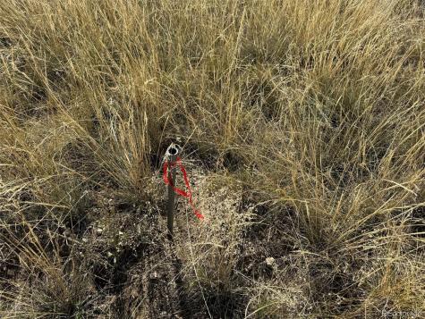 0 Copper Gulch Road Cotopaxi CO 81223