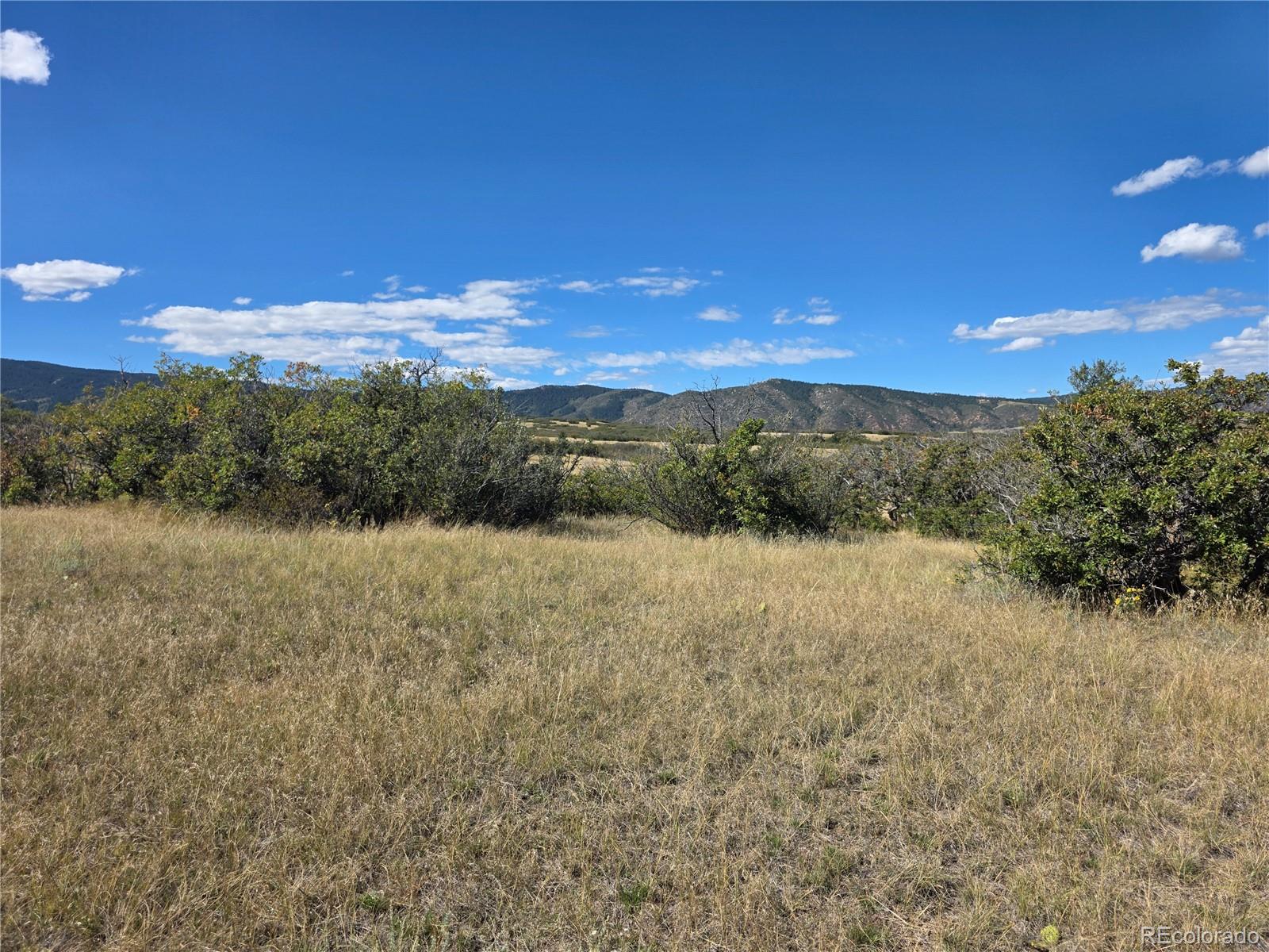 5230 Tall Horse Trail Sedalia CO 80135
