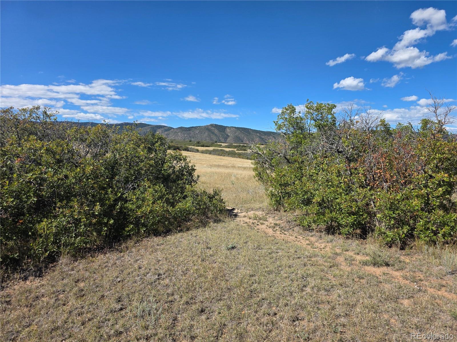 5230 Tall Horse Trail Sedalia CO 80135