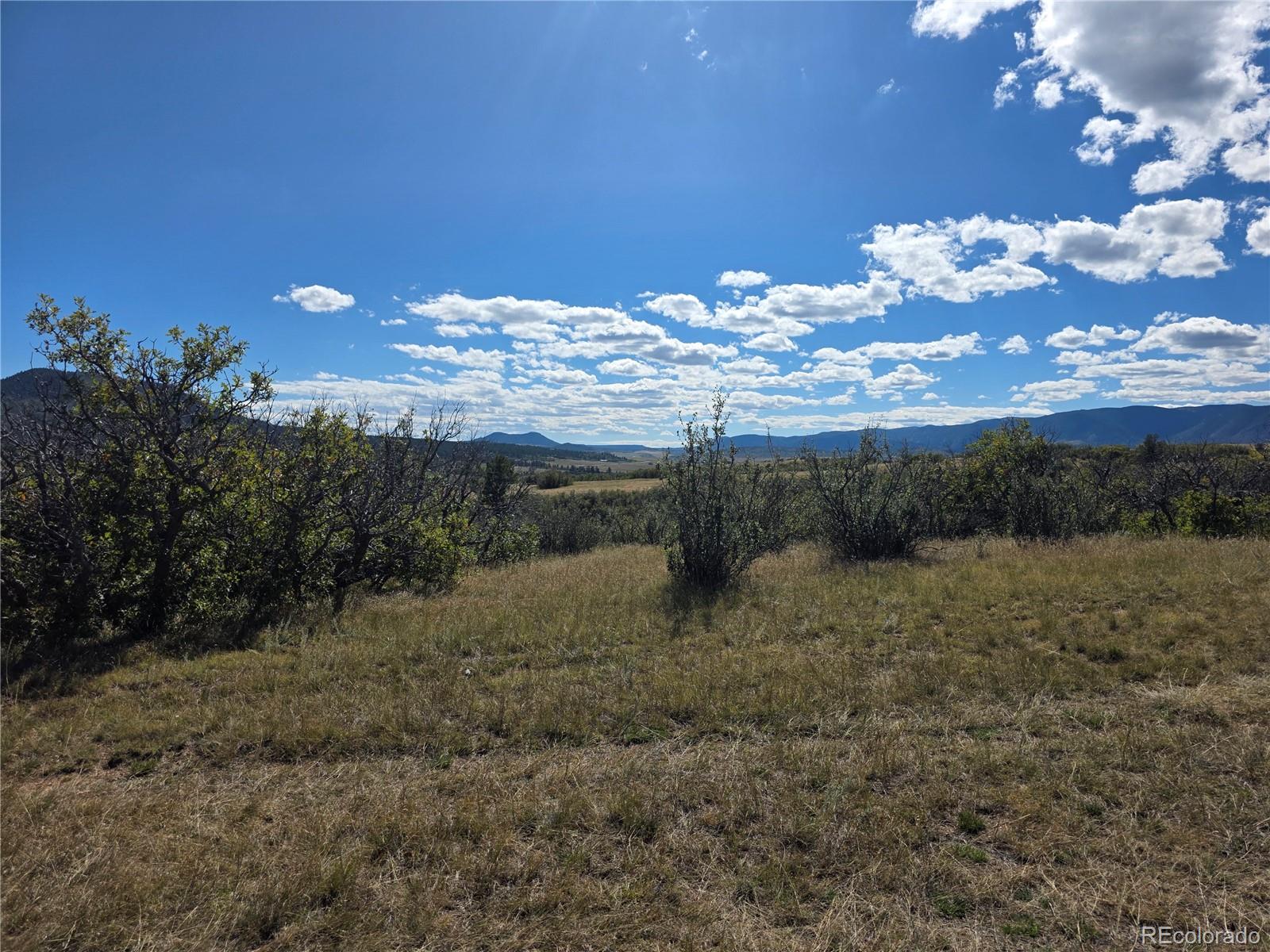 5230 Tall Horse Trail Sedalia CO 80135