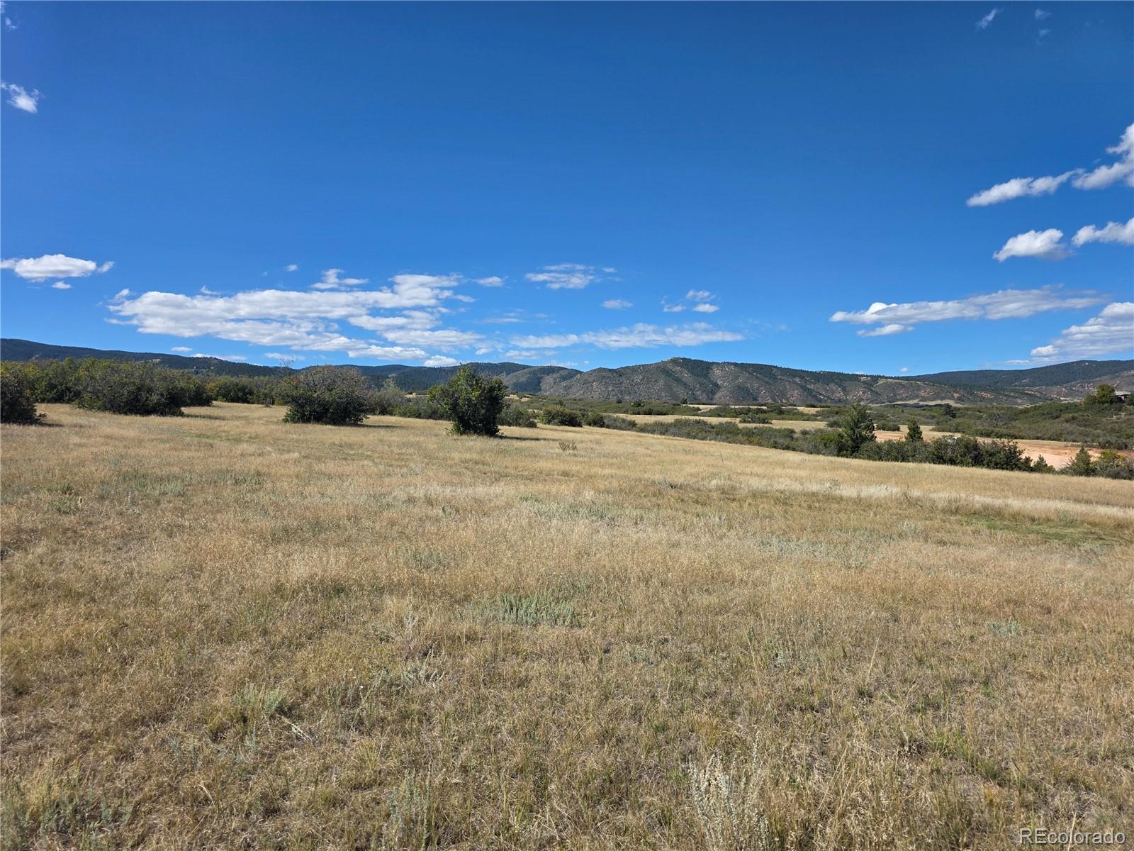 5230 Tall Horse Trail Sedalia CO 80135
