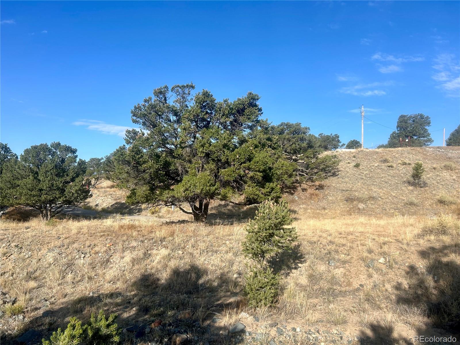 9416 Kingcup Court Salida CO 81201