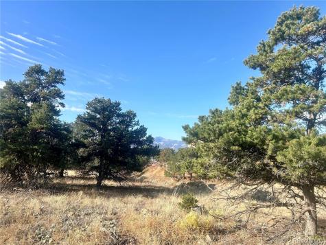 9416 Kingcup Court Salida CO 81201