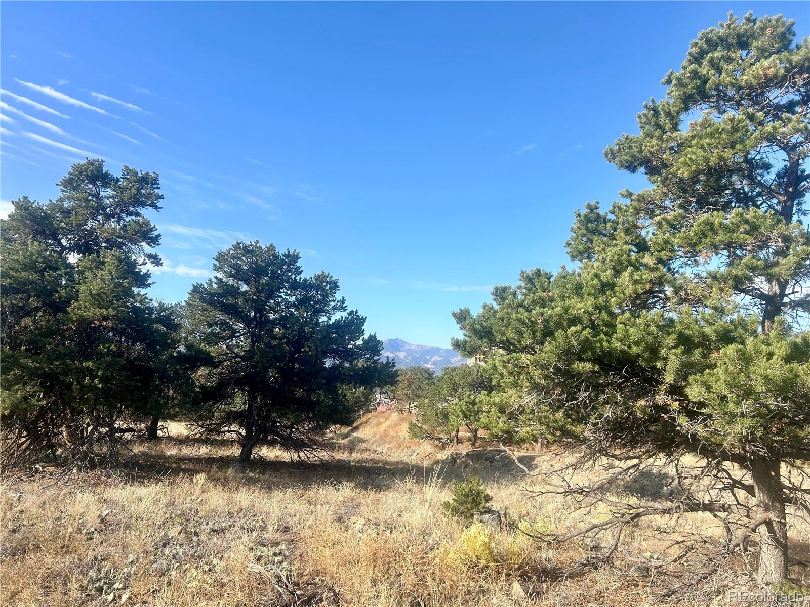 9416 Kingcup Court Salida CO 81201