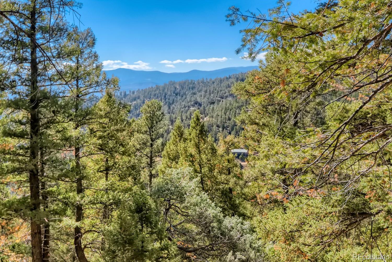 Elsie Road Conifer CO 80433