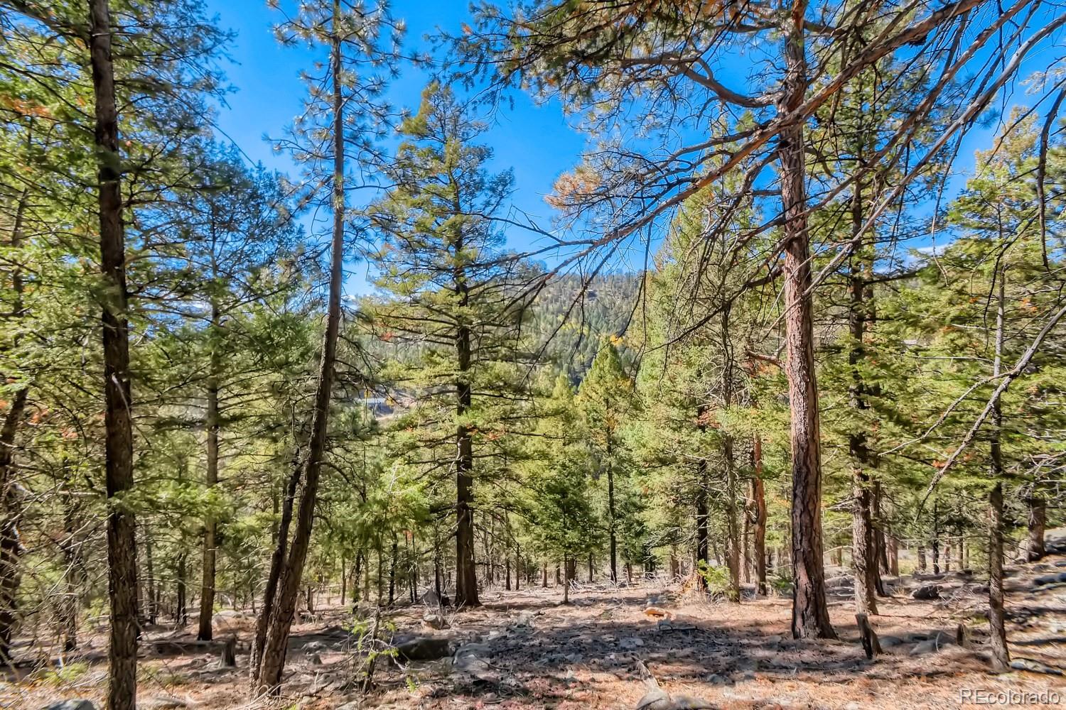 Elsie Road Conifer CO 80433