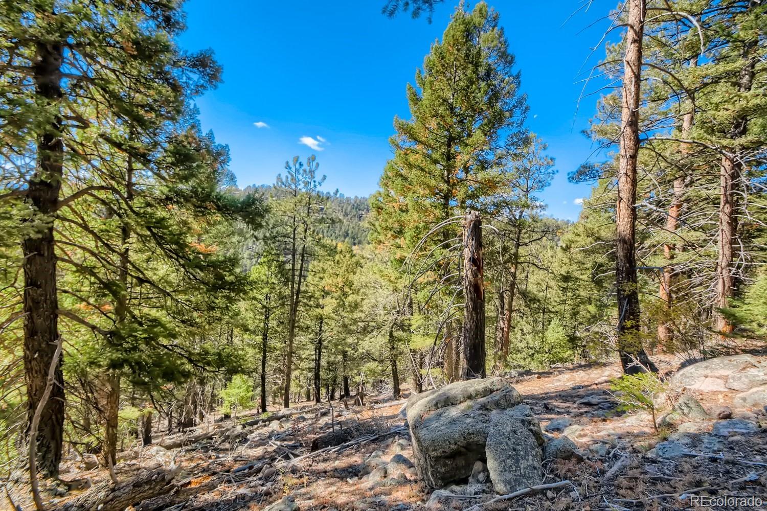 Elsie Road Conifer CO 80433