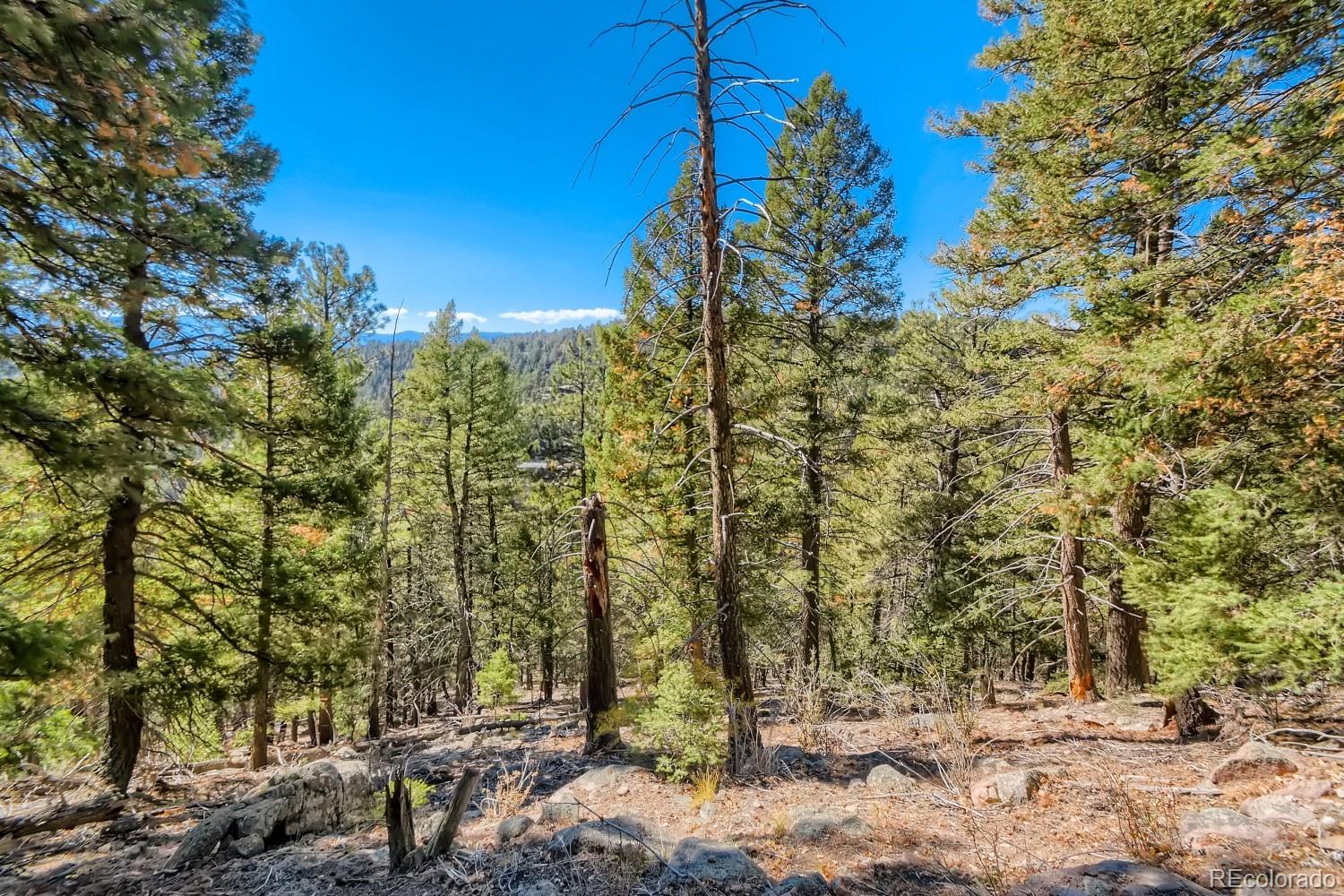 Elsie Road Conifer CO 80433