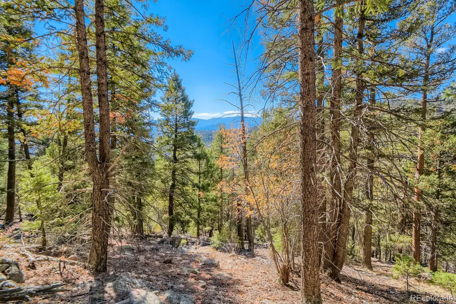 Elsie Road Conifer CO 80433