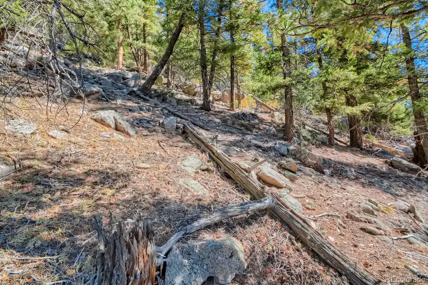 Elsie Road Conifer CO 80433