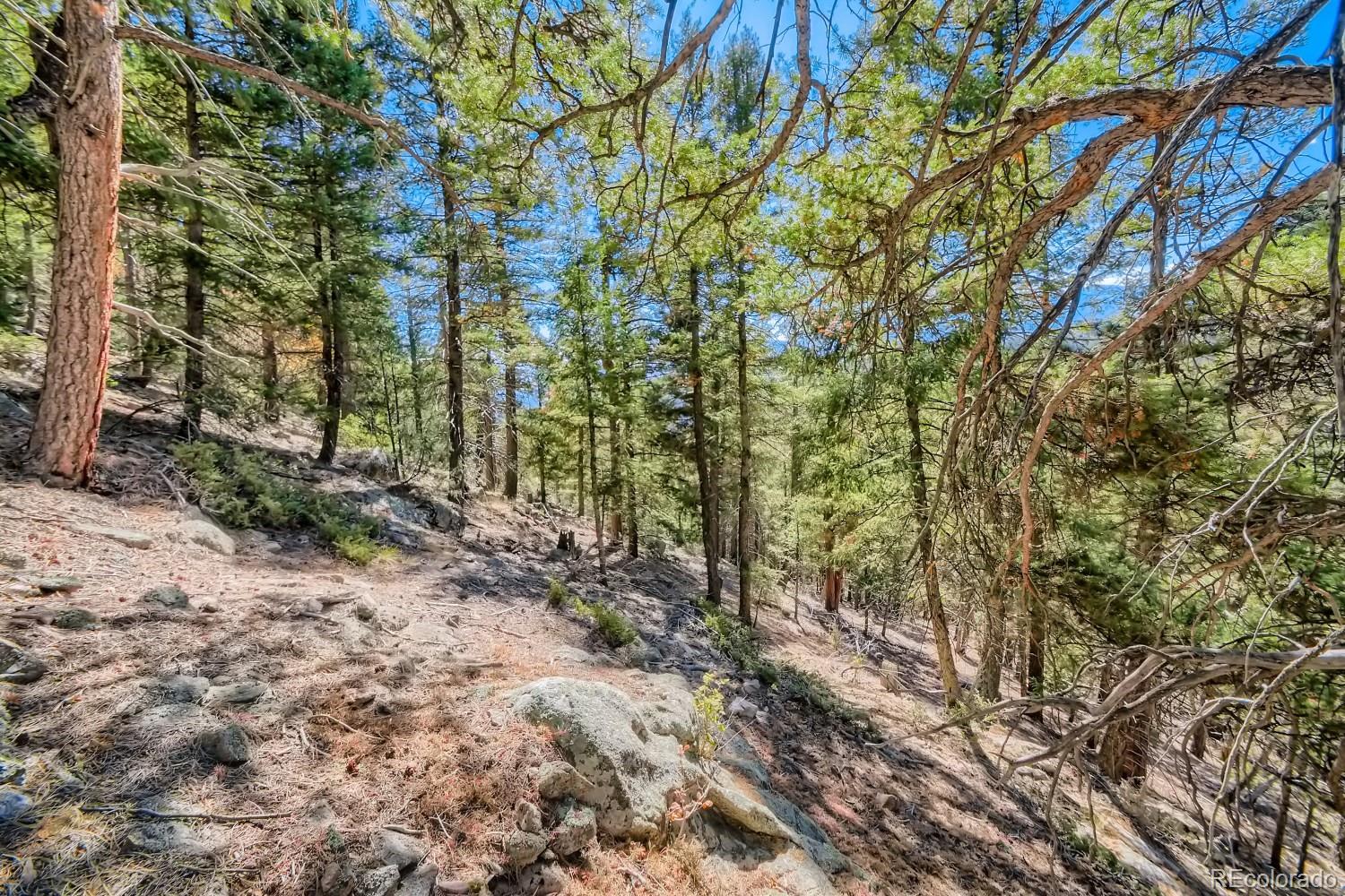 Elsie Road Conifer CO 80433