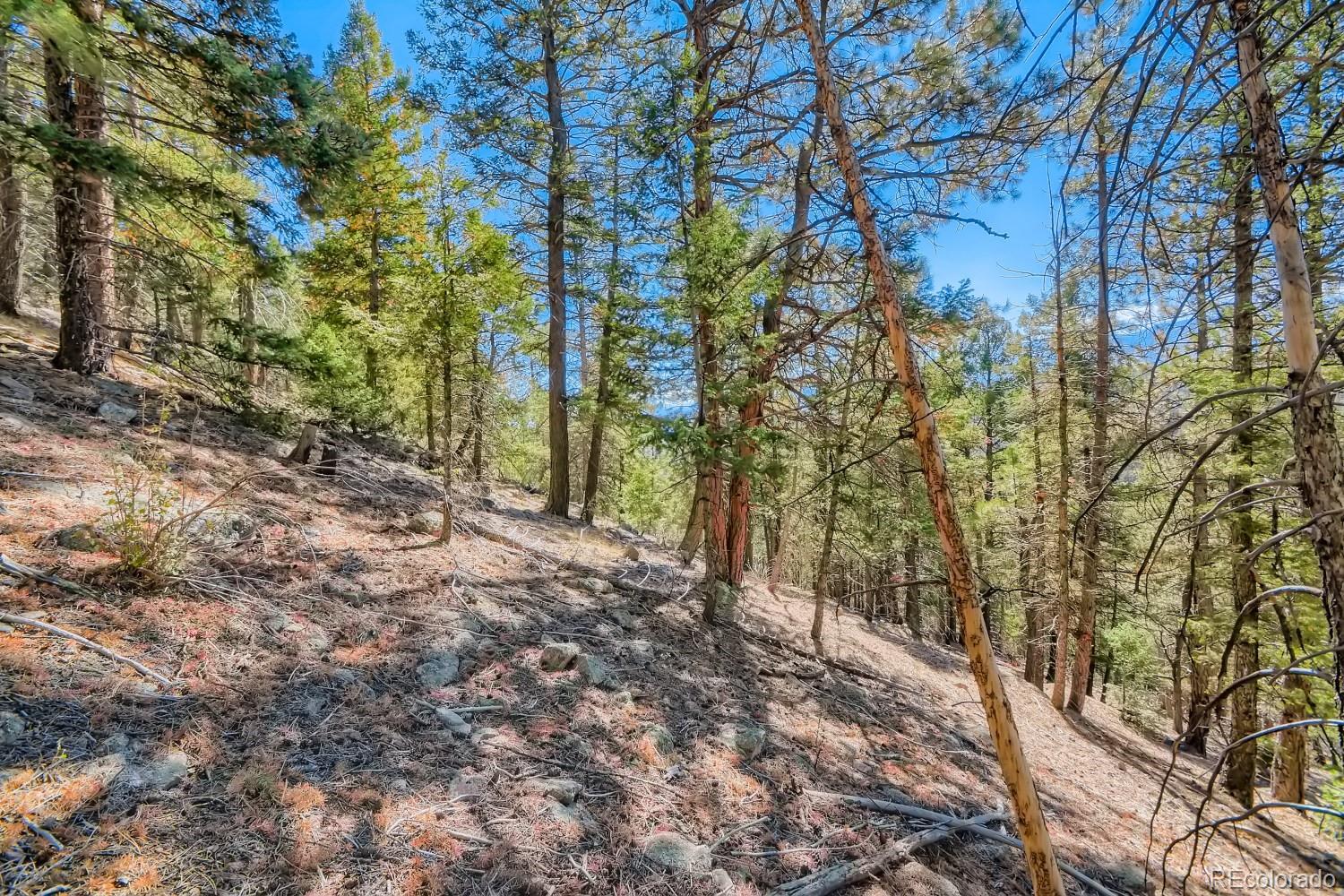 Elsie Road Conifer CO 80433