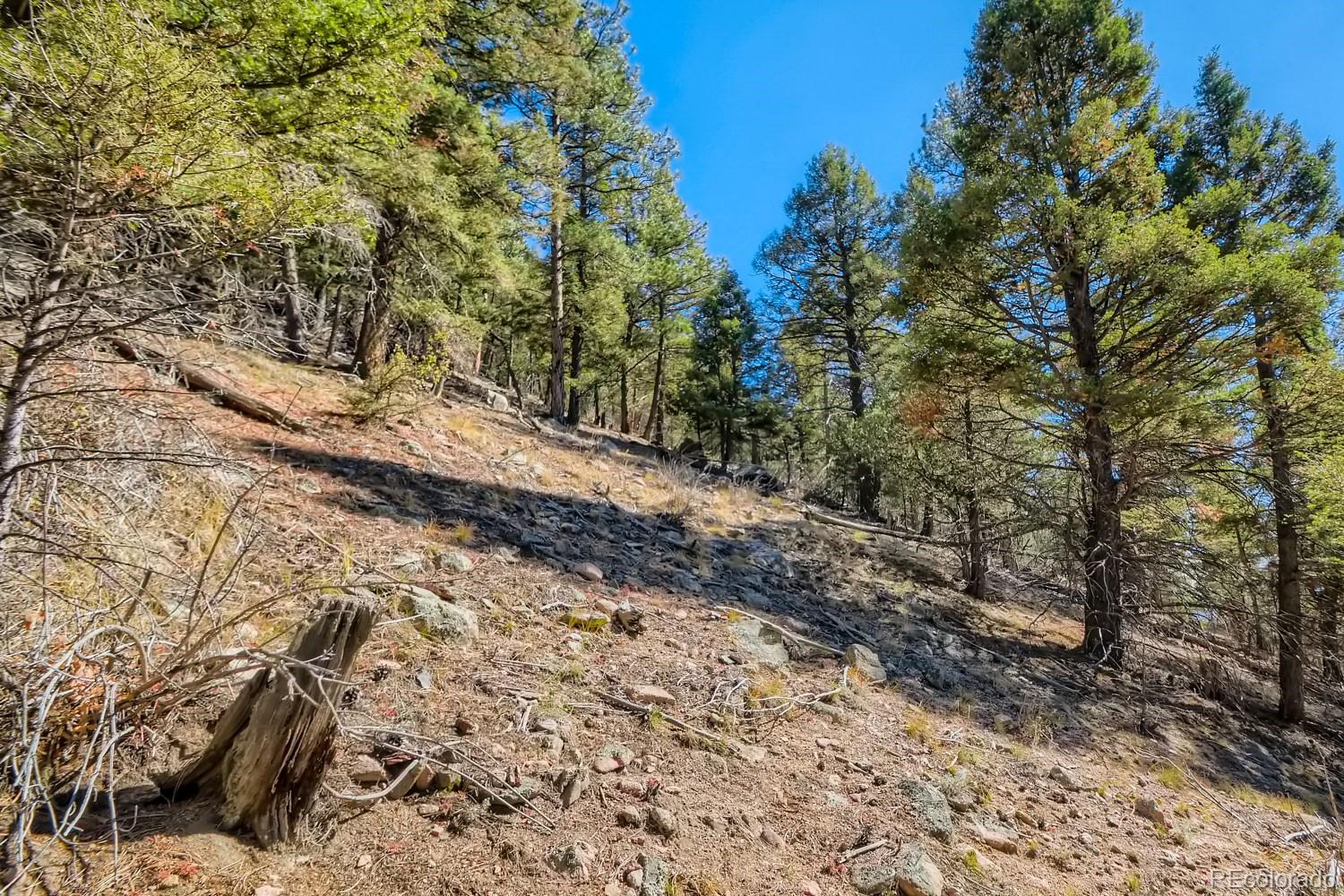 Elsie Road Conifer CO 80433