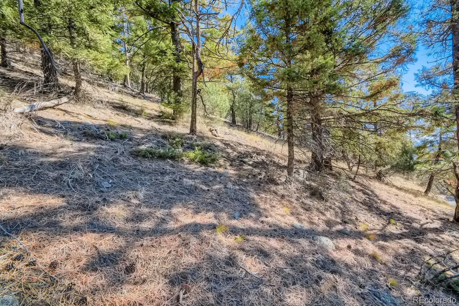 Elsie Road Conifer CO 80433
