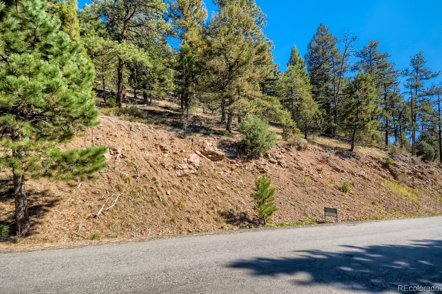 Elsie Road Conifer CO 80433
