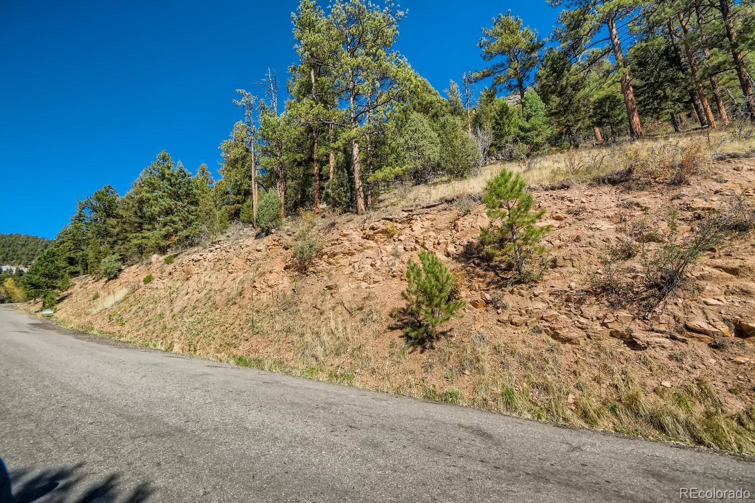 Elsie Road Conifer CO 80433
