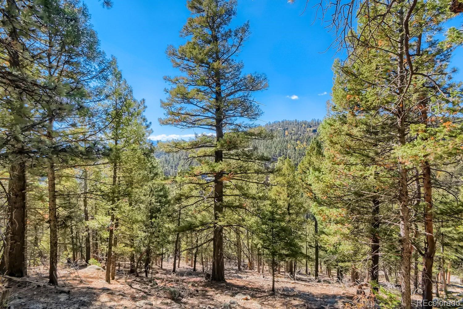 Elsie Road Conifer CO 80433