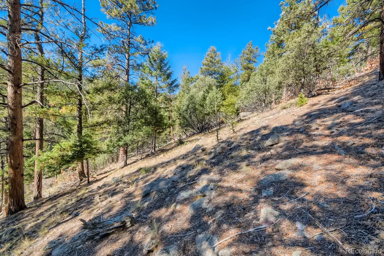 Elsie Road Conifer CO 80433