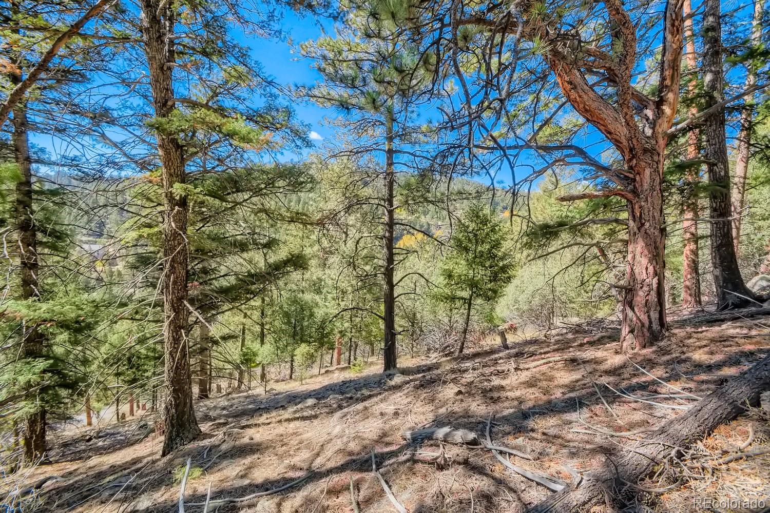Elsie Road Conifer CO 80433