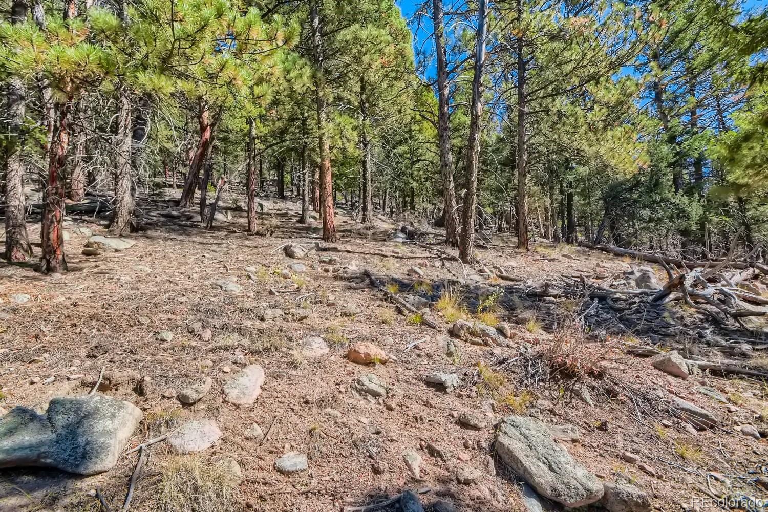 Elsie Road Conifer CO 80433