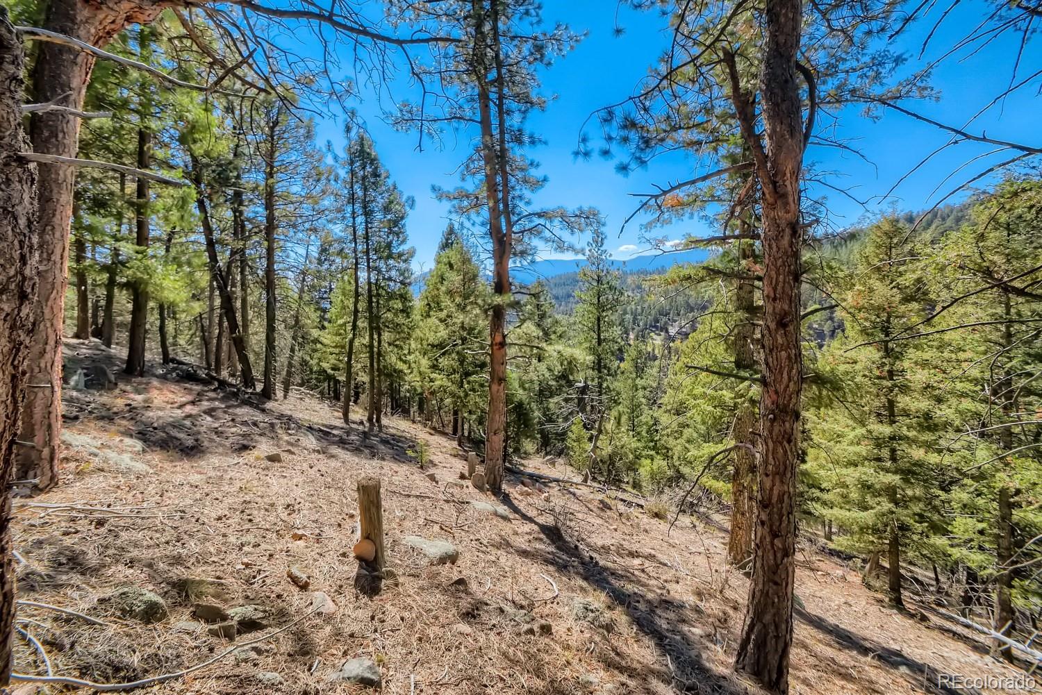 Elsie Road Conifer CO 80433