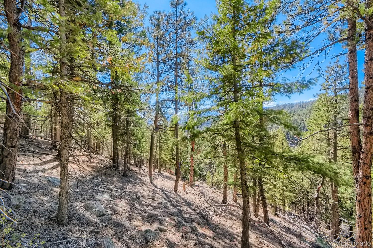 Elsie Road Conifer CO 80433