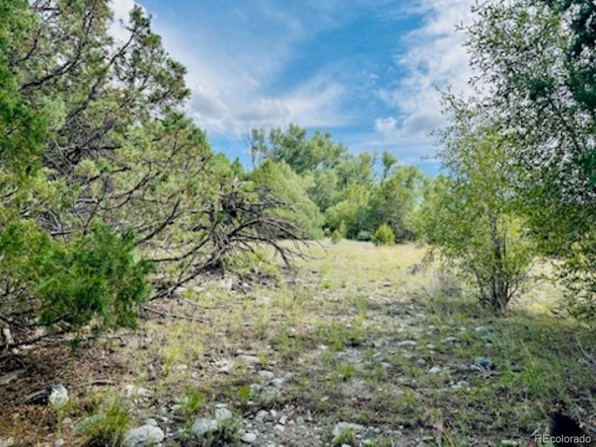 216 Colima Place Mosca CO 81146