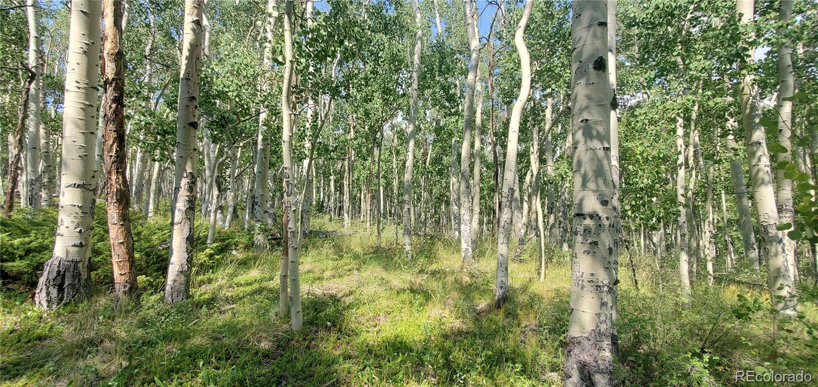 Lot 5837 Sheldon Road Fort Garland CO 81133