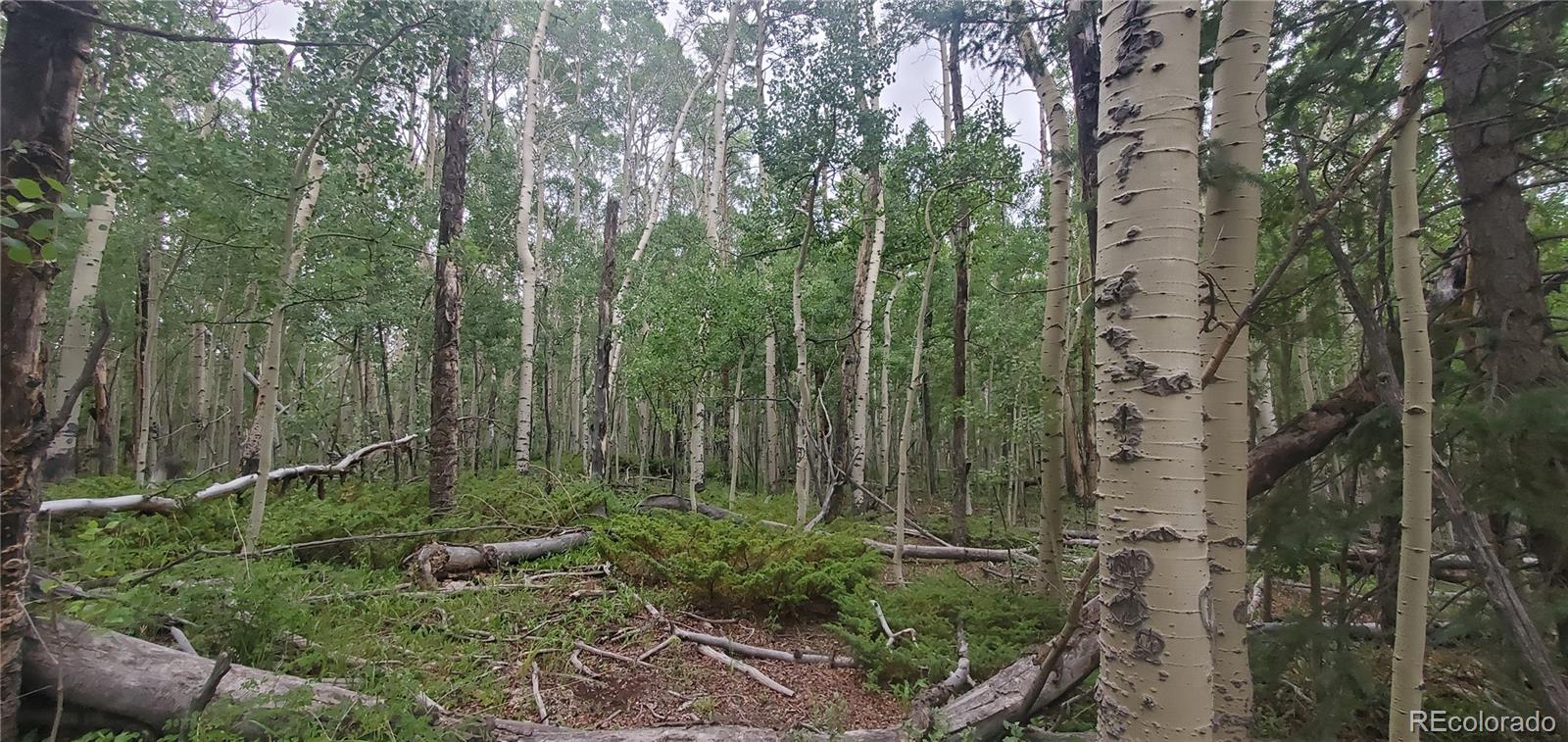 Lot 5837 Sheldon Road Fort Garland CO 81133