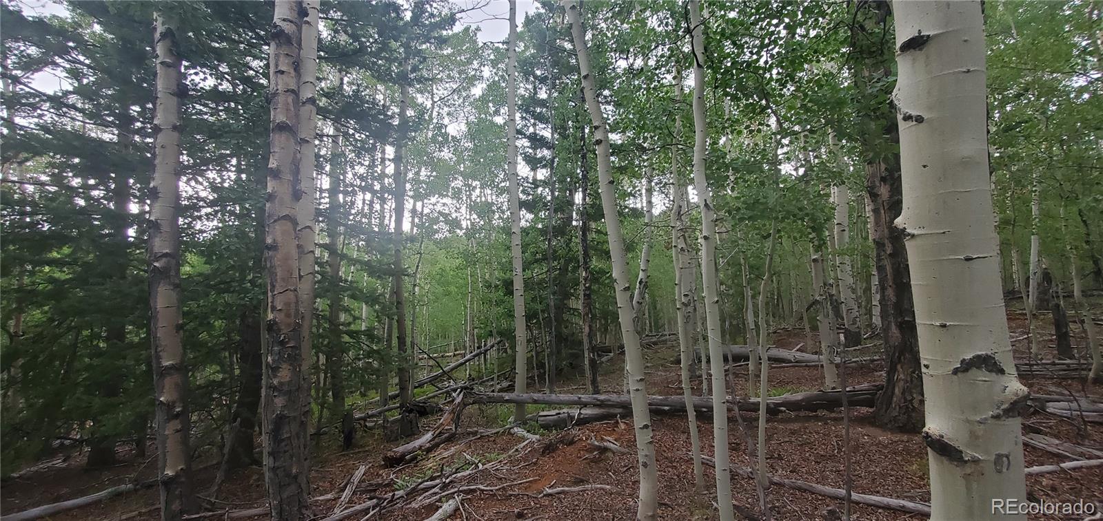 Lot 5837 Sheldon Road Fort Garland CO 81133