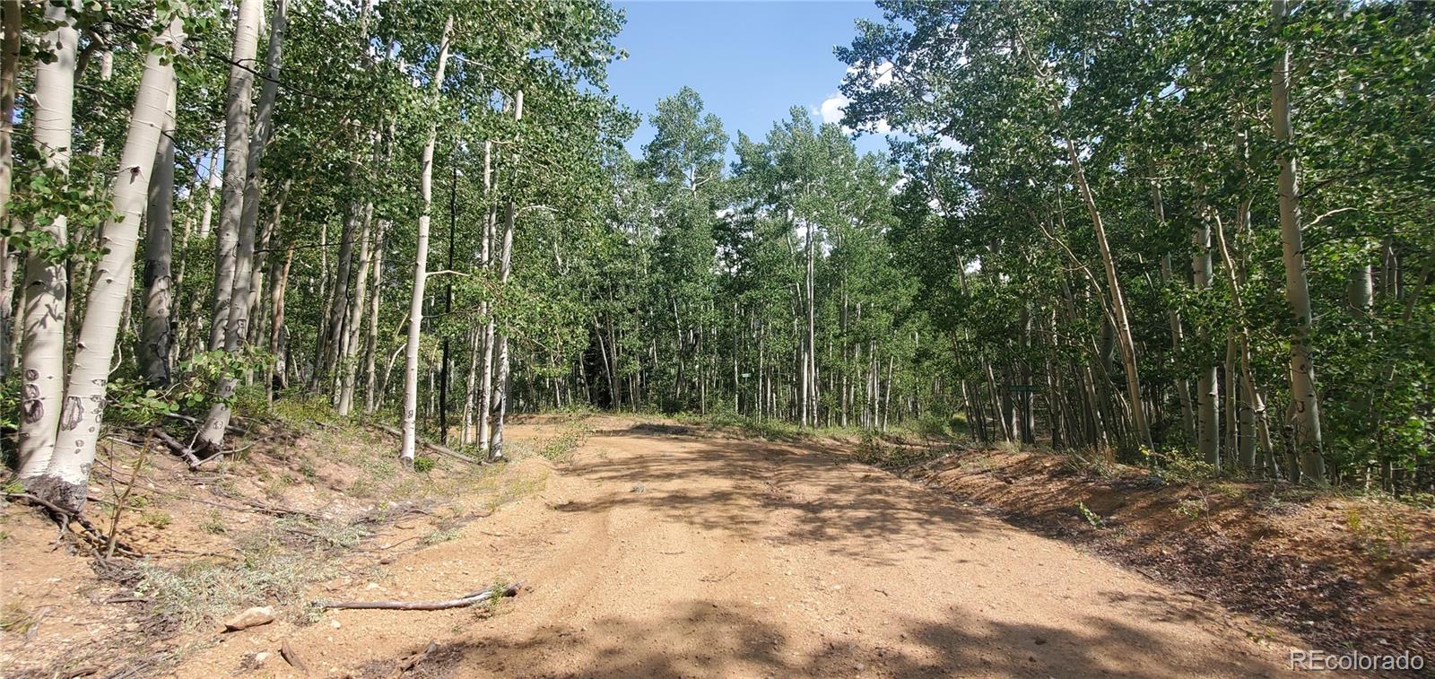 Lot 5837 Sheldon Road Fort Garland CO 81133