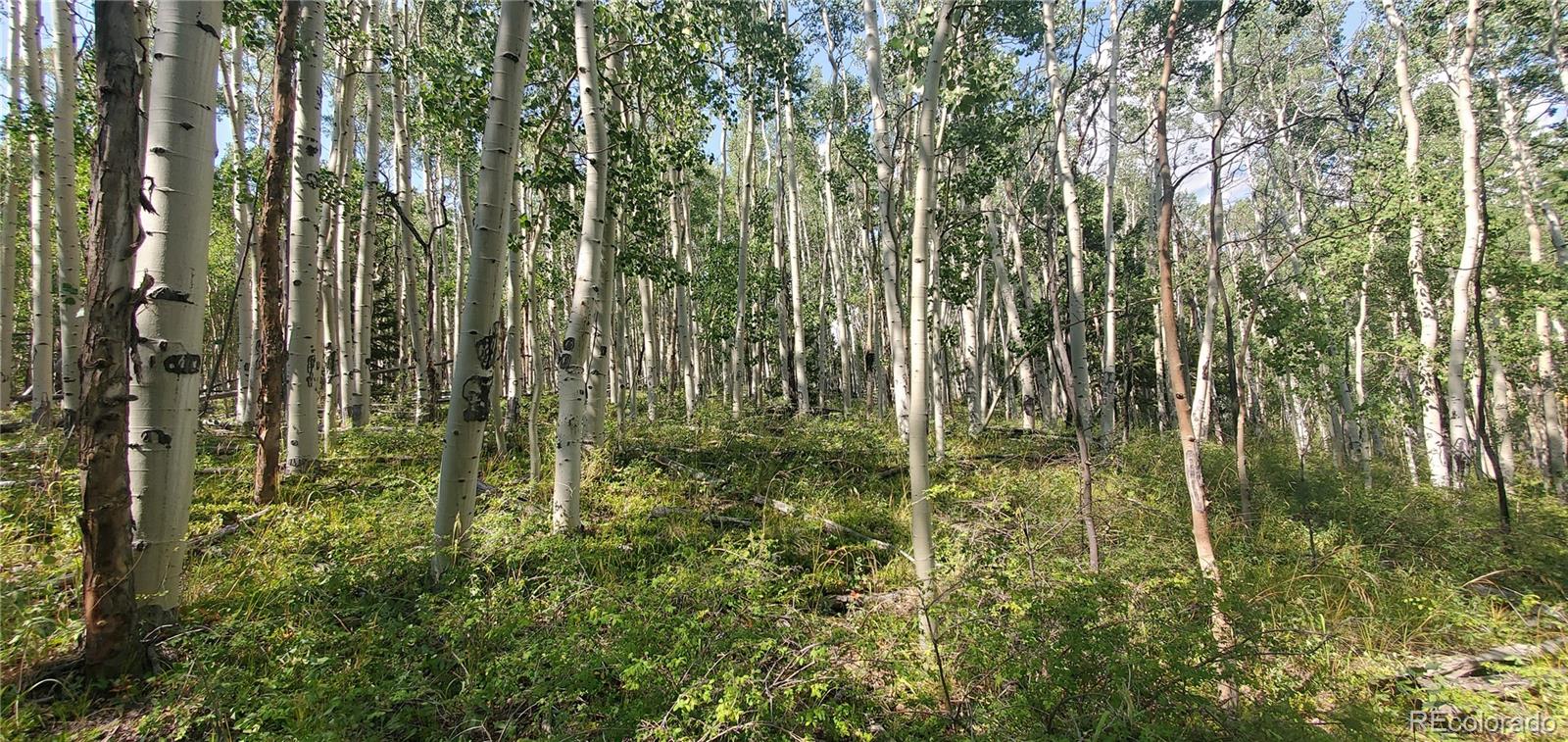 Lot 5837 Sheldon Road Fort Garland CO 81133