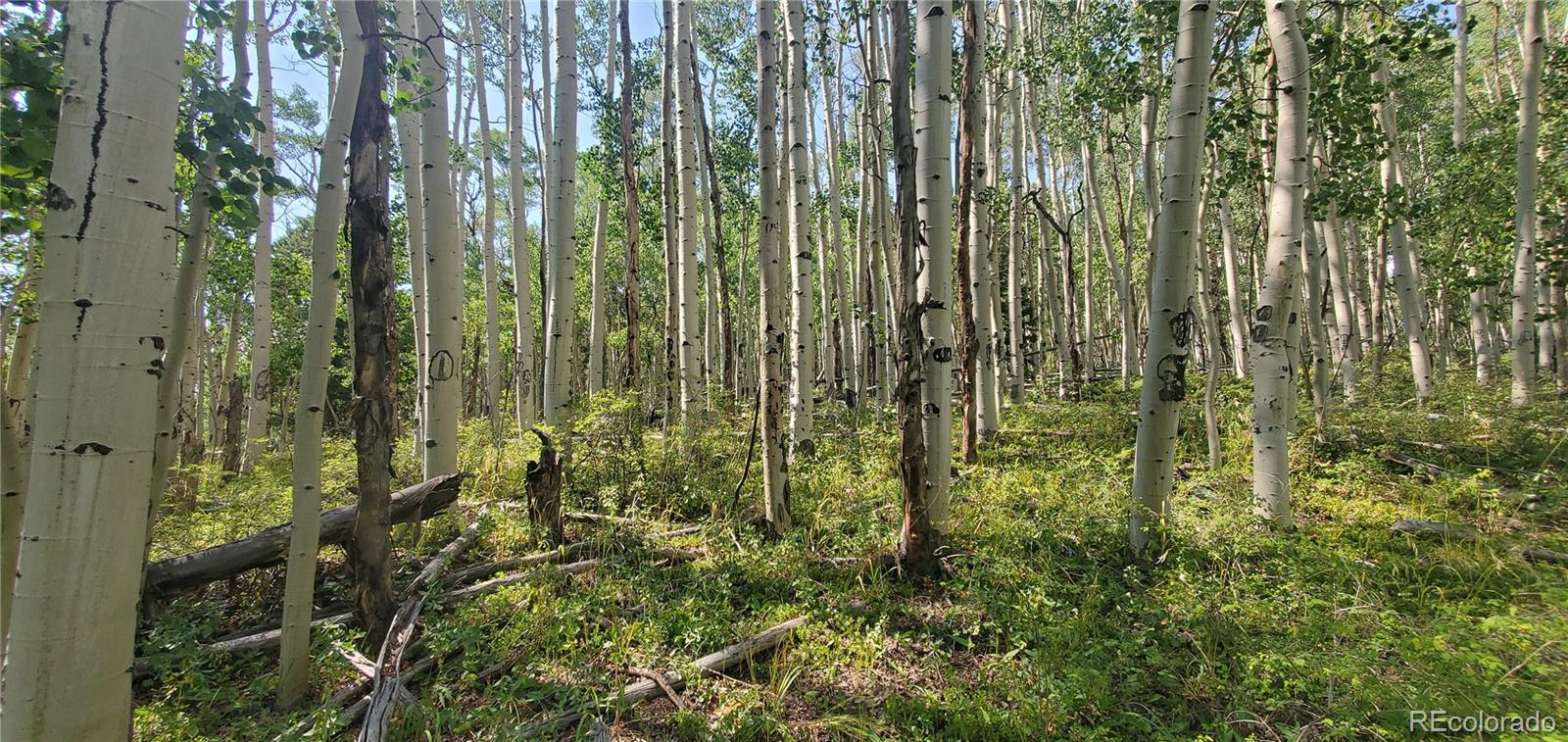 Lot 5837 Sheldon Road Fort Garland CO 81133