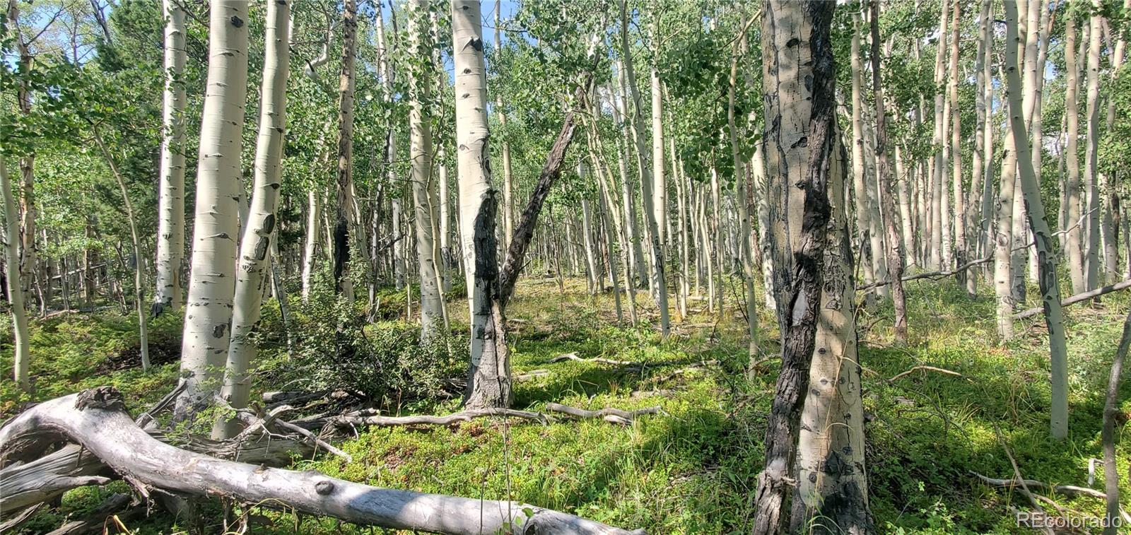 Lot 5837 Sheldon Road Fort Garland CO 81133