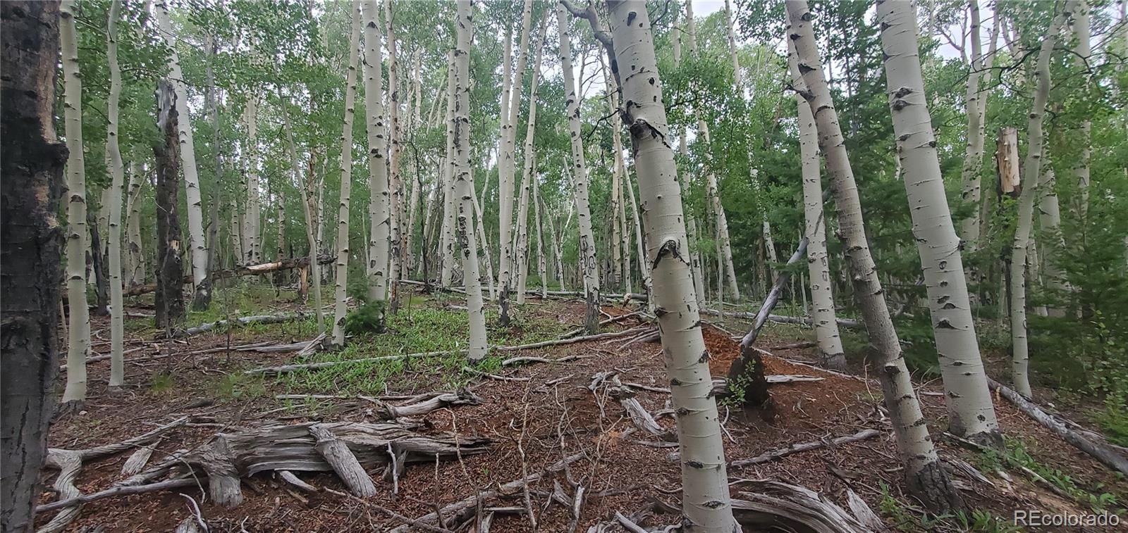 Lot 5837 Sheldon Road Fort Garland CO 81133