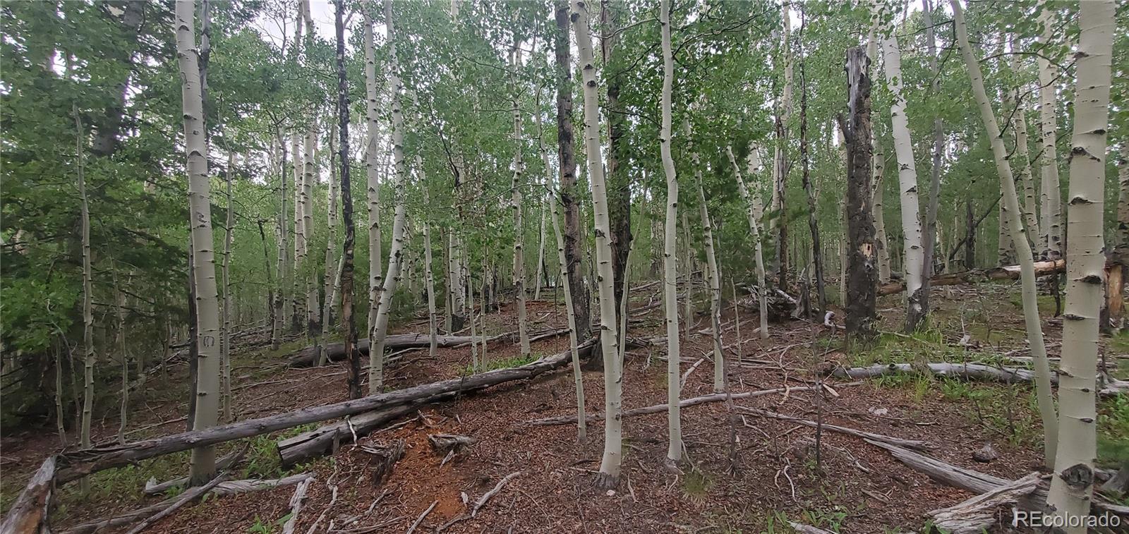 Lot 5837 Sheldon Road Fort Garland CO 81133