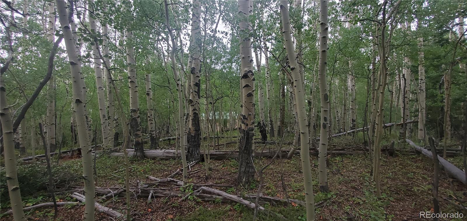Lot 5837 Sheldon Road Fort Garland CO 81133