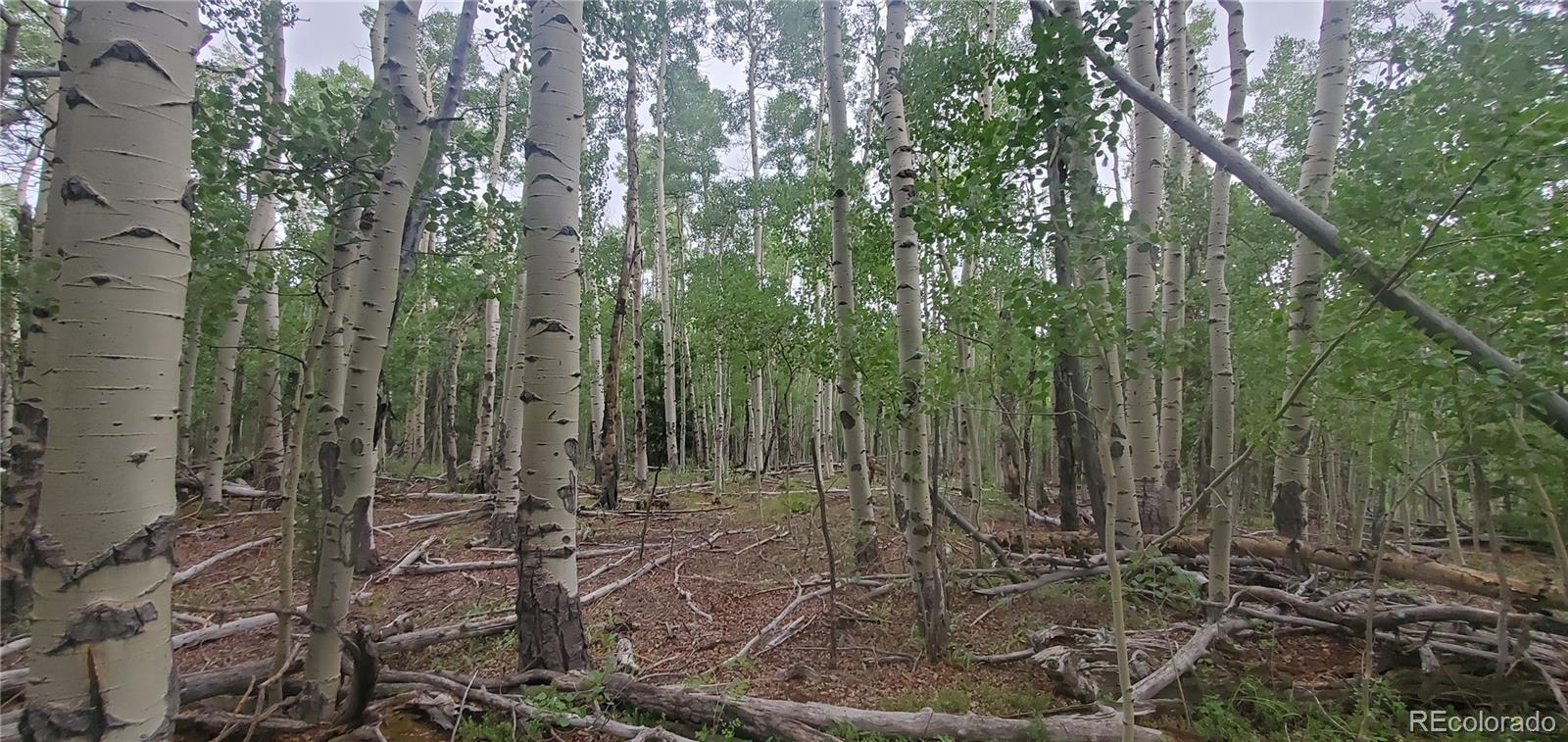 Lot 5837 Sheldon Road Fort Garland CO 81133