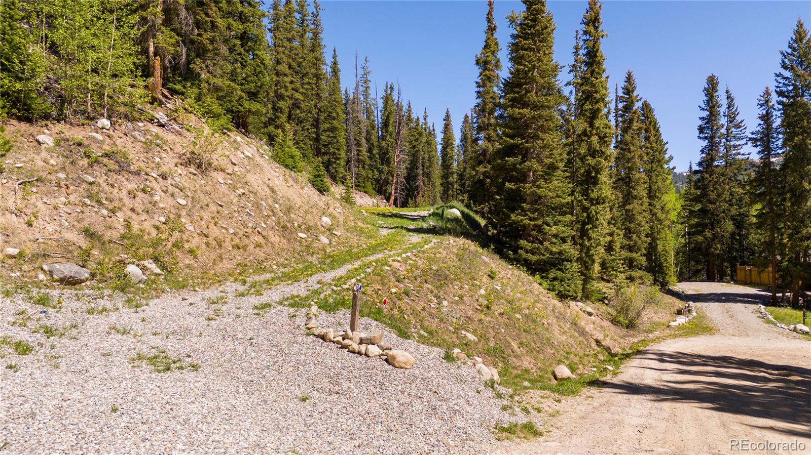 797 Peterson Drive Fairplay CO 80440