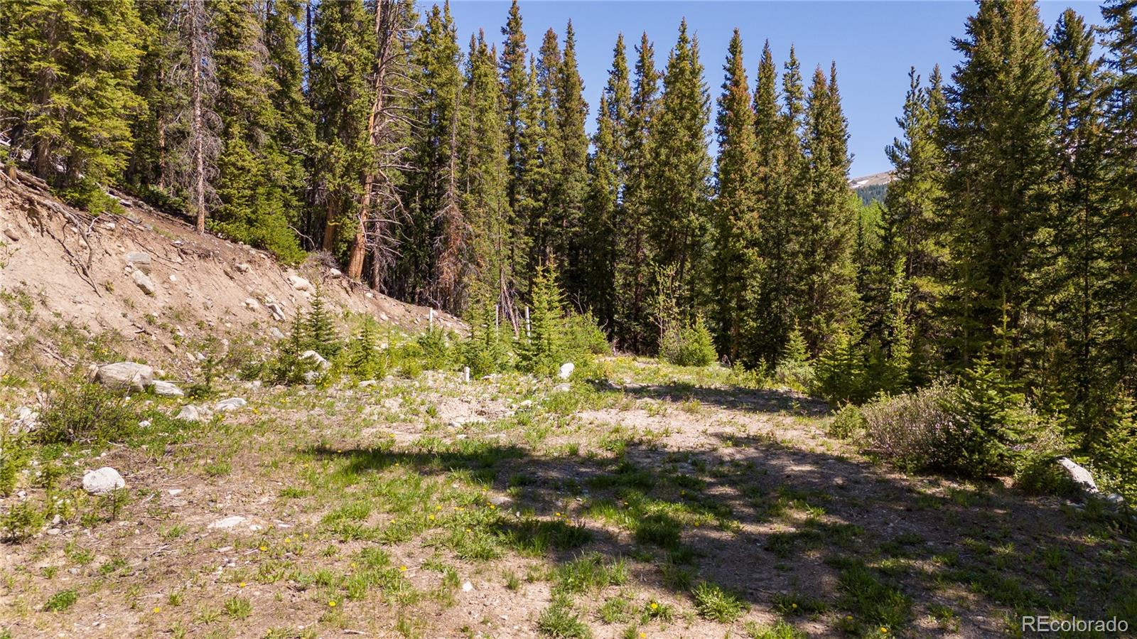 797 Peterson Drive Fairplay CO 80440