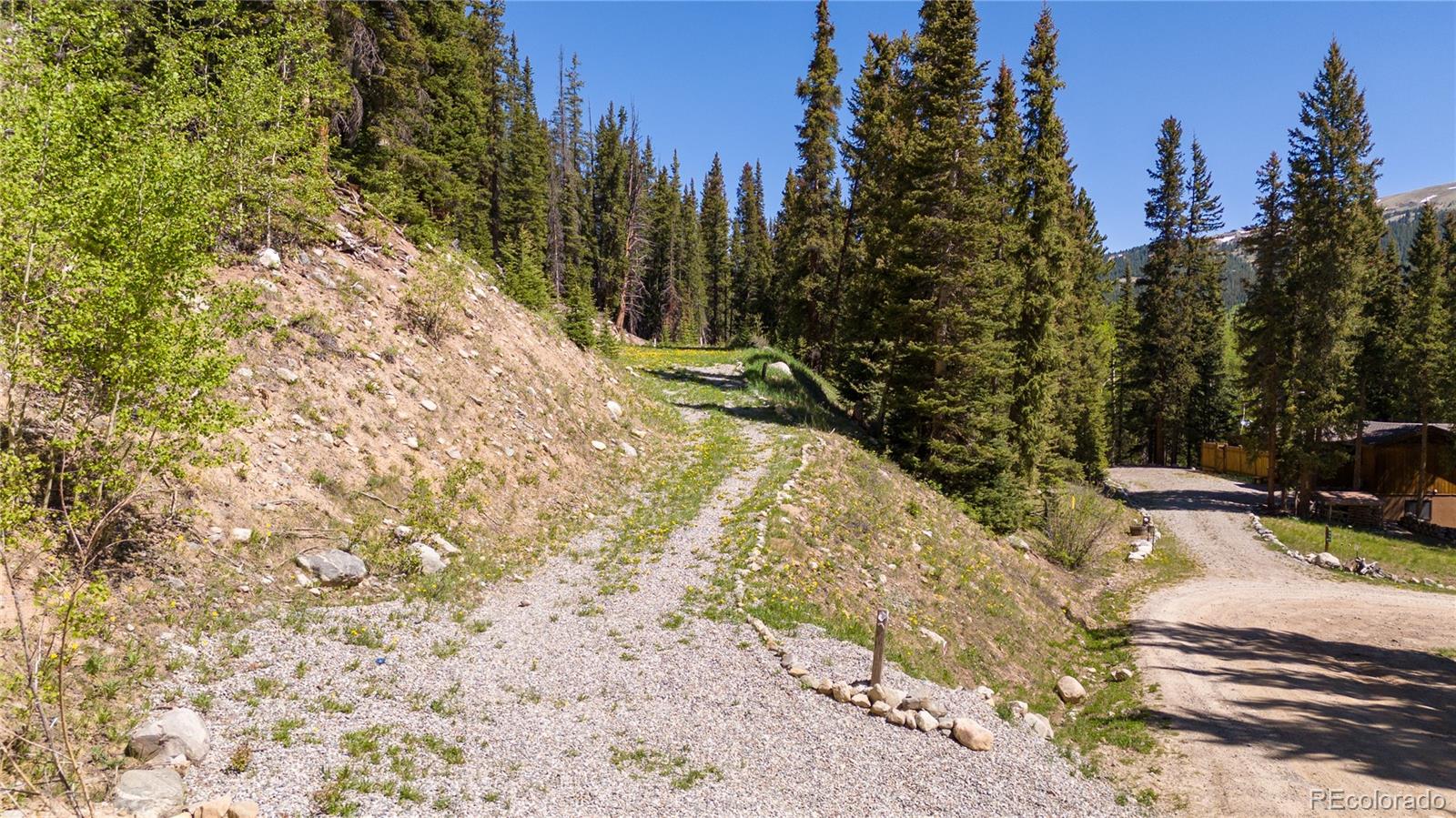 797 Peterson Drive Fairplay CO 80440
