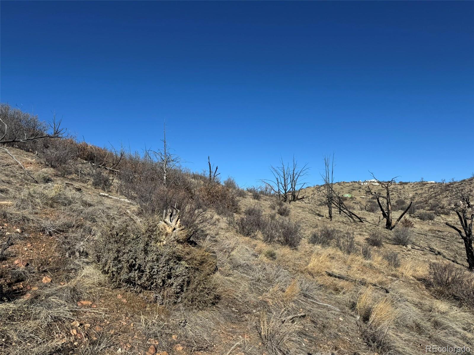 F Path And 37th Trail Cotopaxi CO 81223