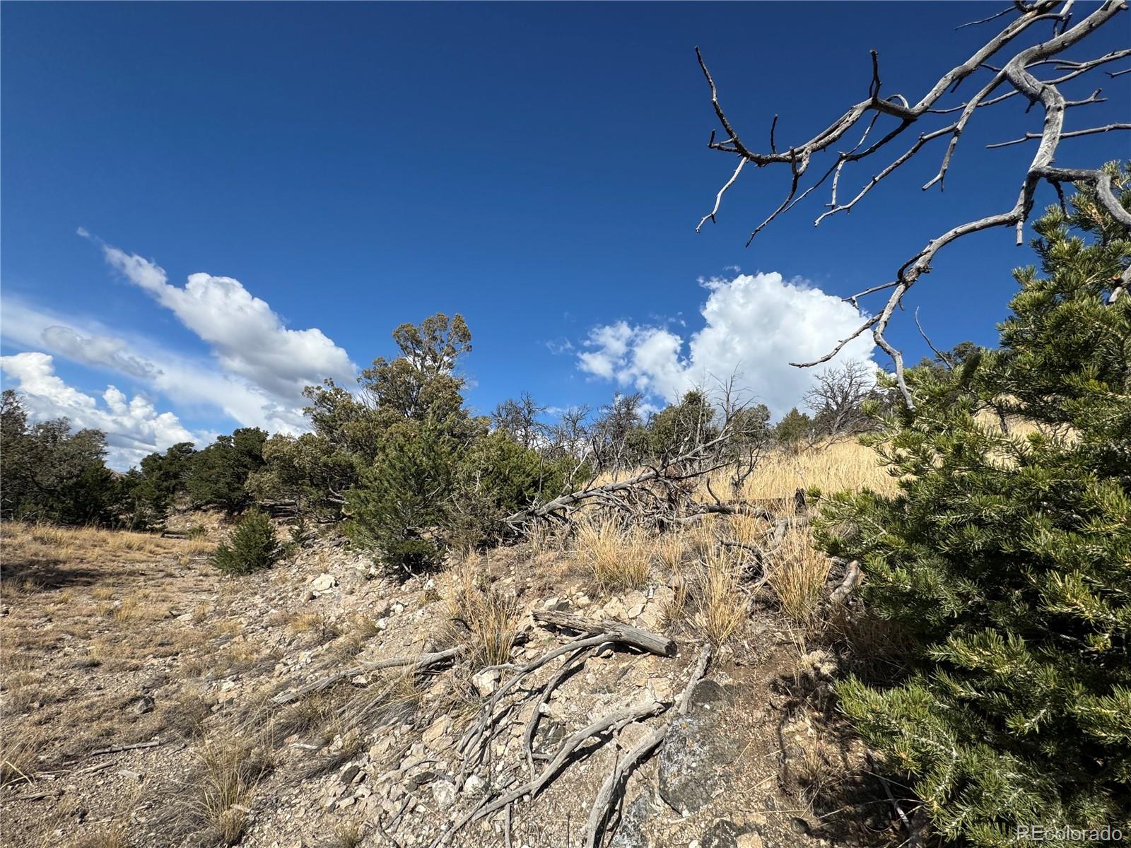 0 27th Trail Cotopaxi CO 81223