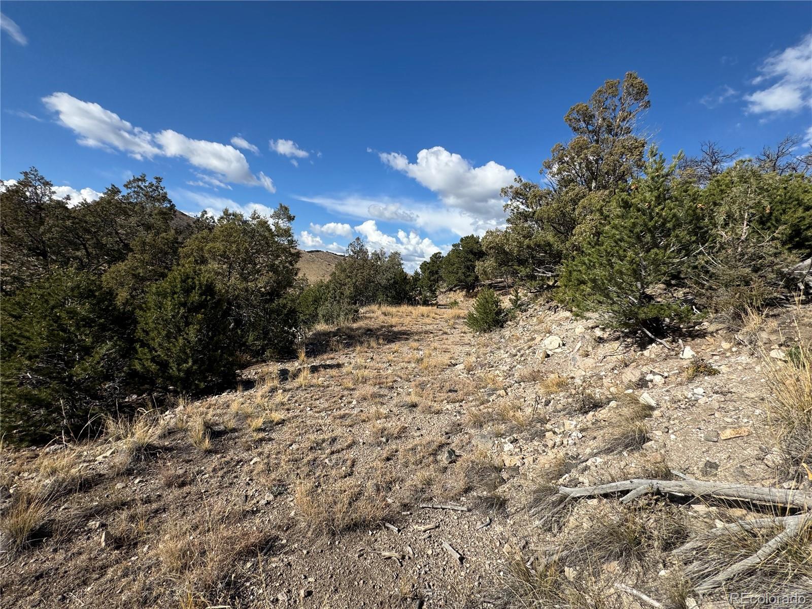 0 27th Trail Cotopaxi CO 81223