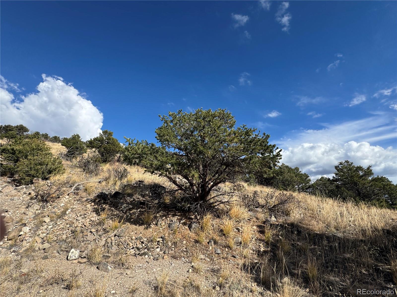 0 27th Trail Cotopaxi CO 81223